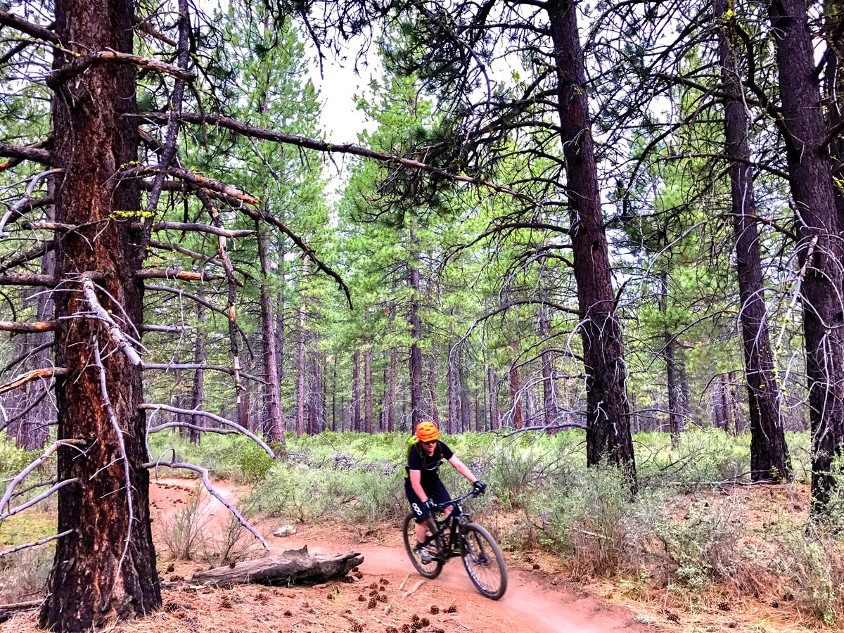 Berm on Phil's mountain biking trail in Bend, Oregon