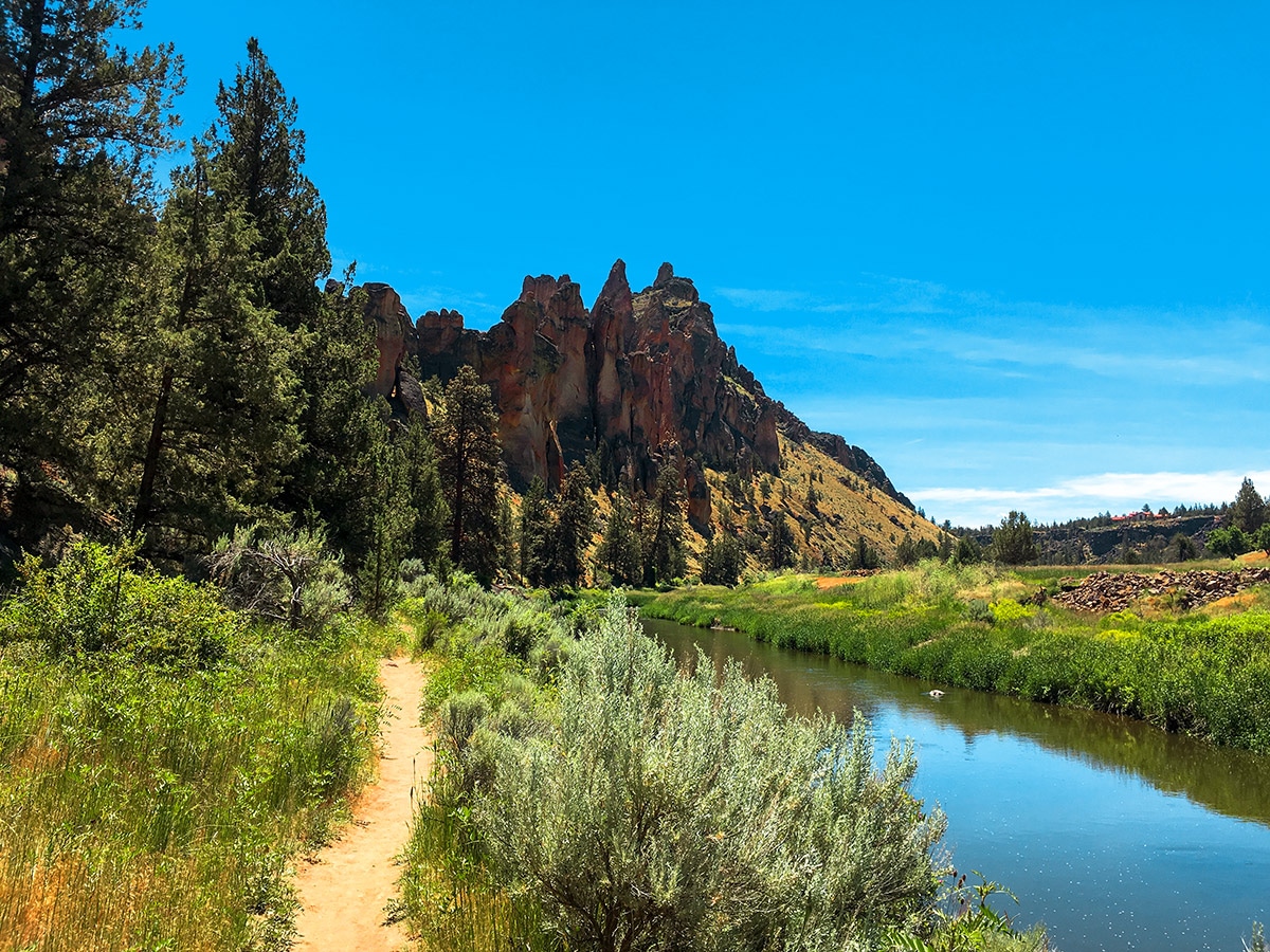 Lush plant life on Smith Rock Summit MTB trail in Bend, Oregon