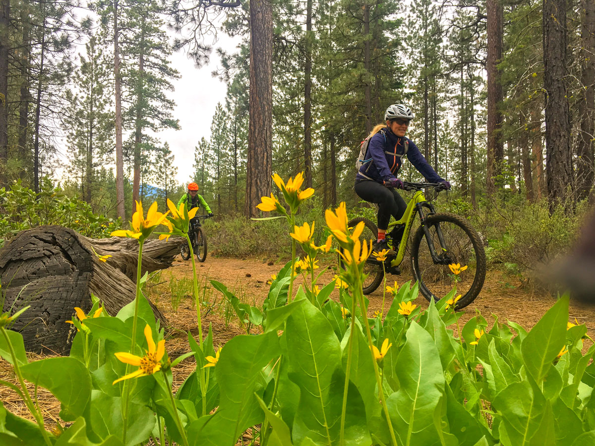 Wildflowers on Suttle Tie Loop biking trail in Bend, Oregon
