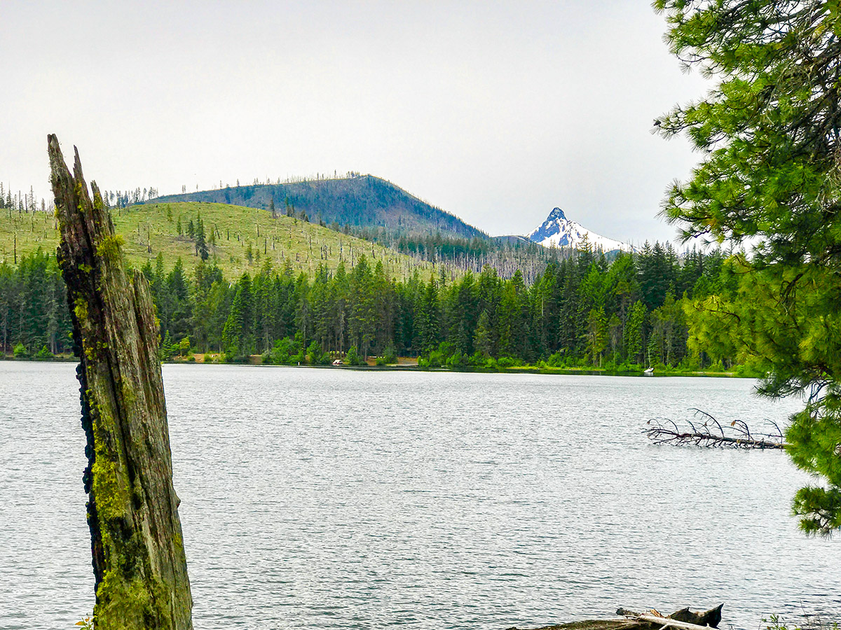 Mt Washington on Suttle Tie Loop MTB trail in Bend, Oregon