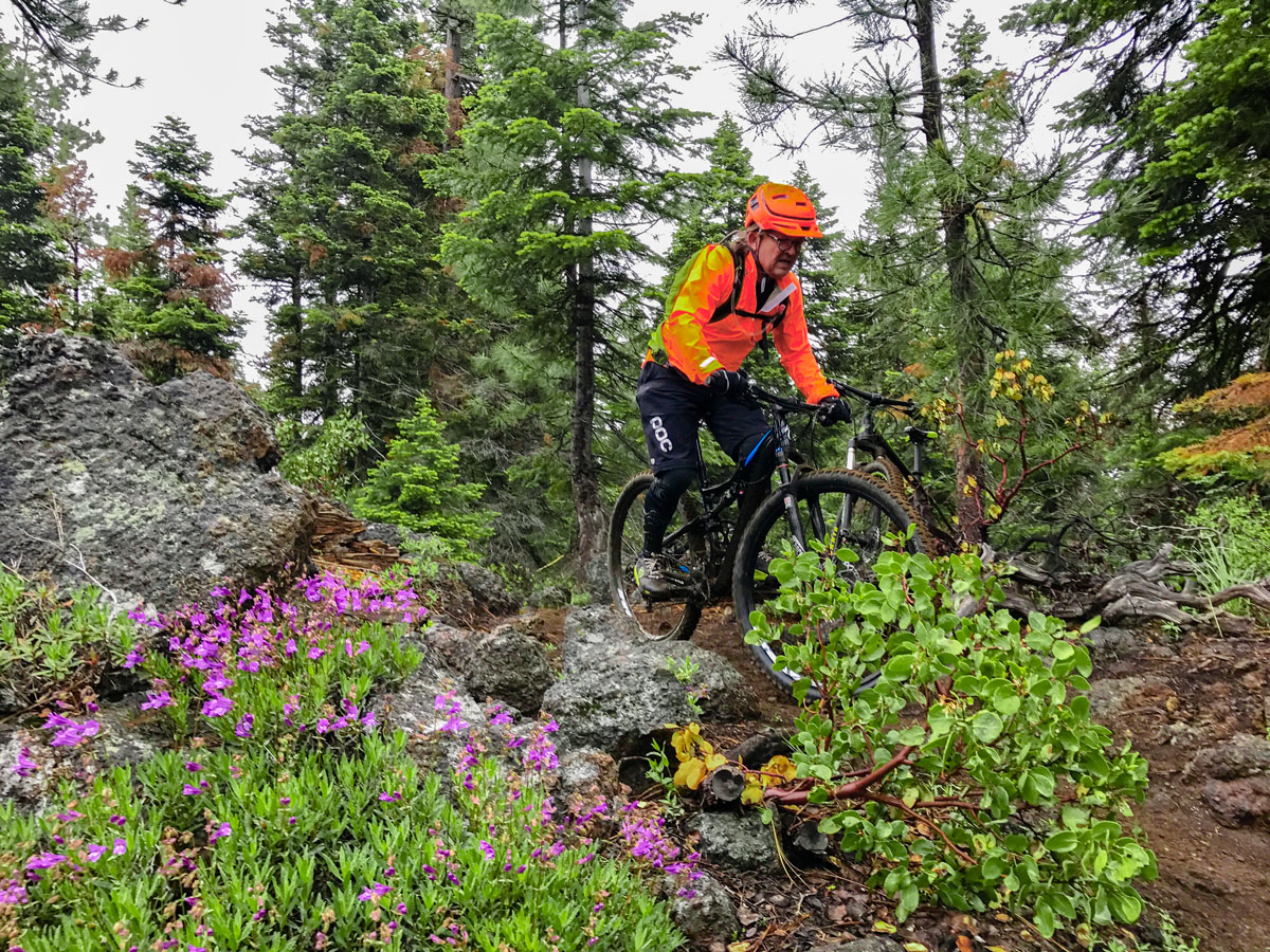 Wildflowers along Tyler's Traverse mountain biking trail in Bend, Oregon