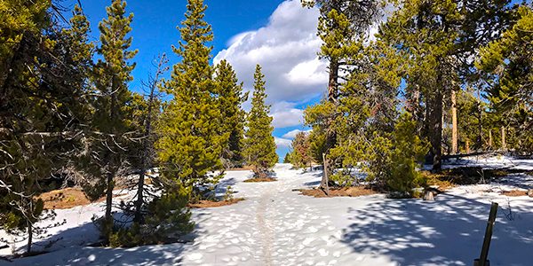 Best snowshoe trails in Indian Peaks, Colorado