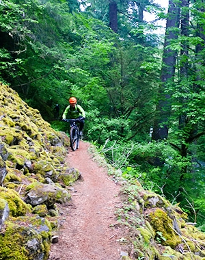 McKenzie River mountain biking trail in Bend, Oregon