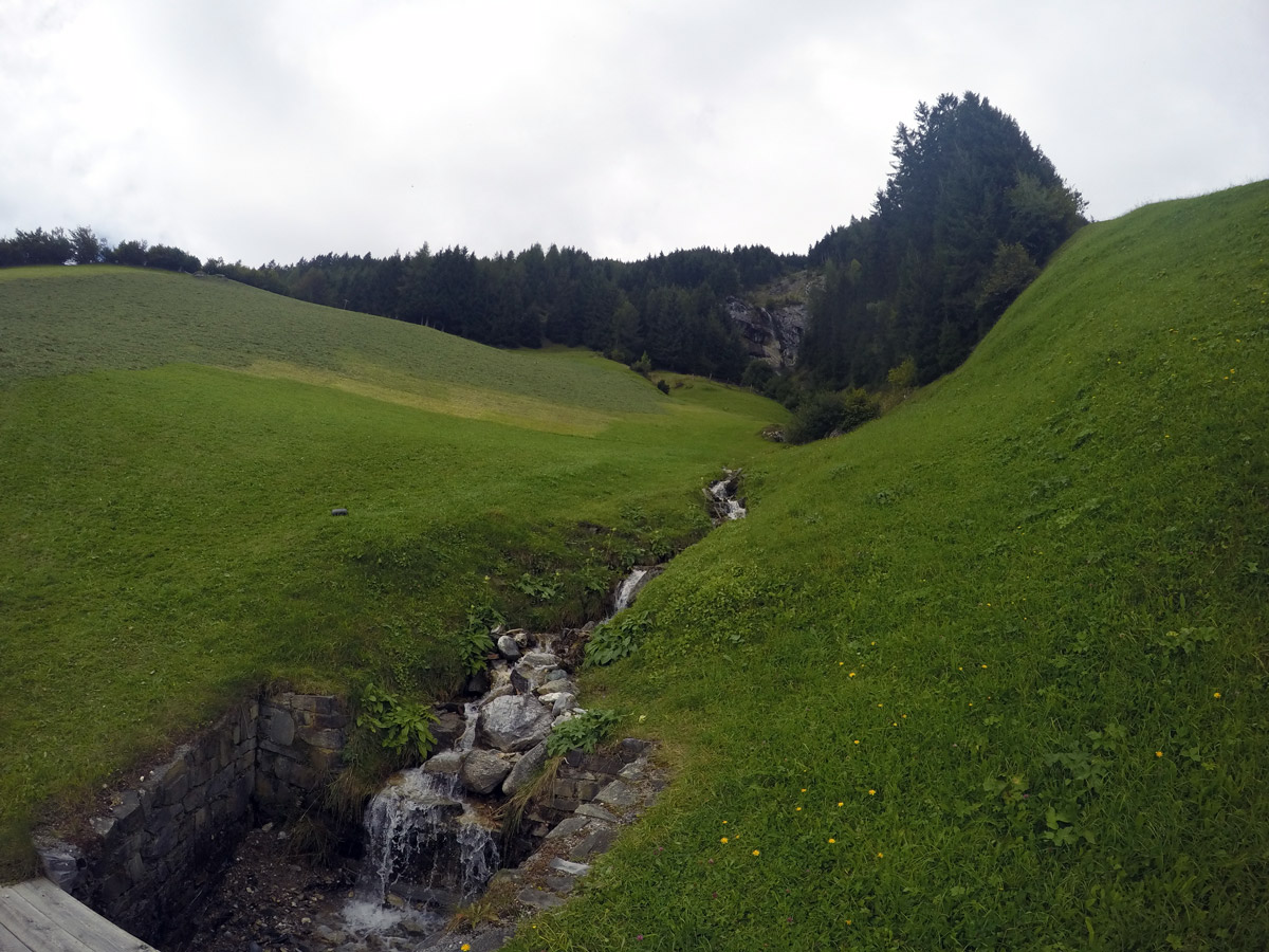 Beautiful fields on Themenwanderung Bergmähderweg hike in Mayrhofen, Zillertal Valley, Austria