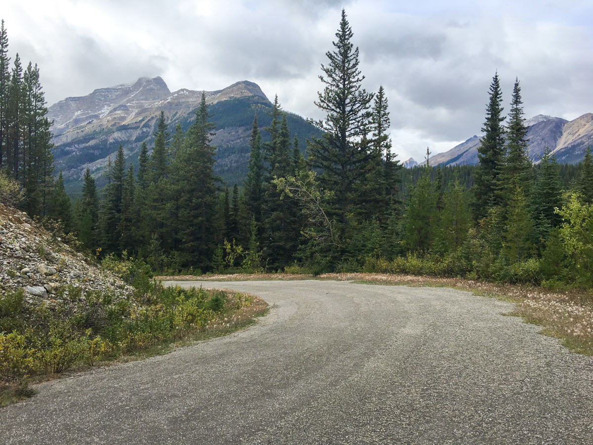 Amazing views on Great Divide Route (1A) road biking route in Banff National Park, the Canadian Rockies