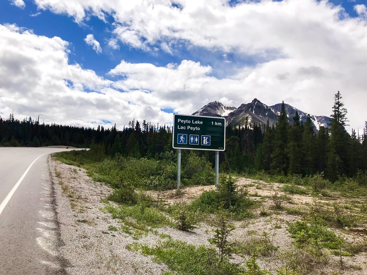 Approaching Peyto Lake on Jasper to Banff road biking route
