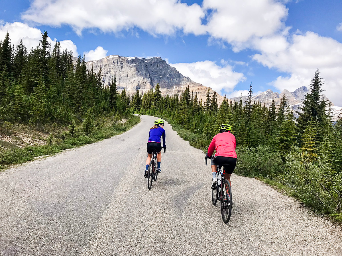 A side trip to Bow summit on Jasper to Banff road biking route