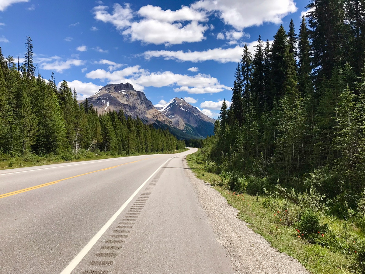 Beautiful quiet road on Jasper to Banff road biking route