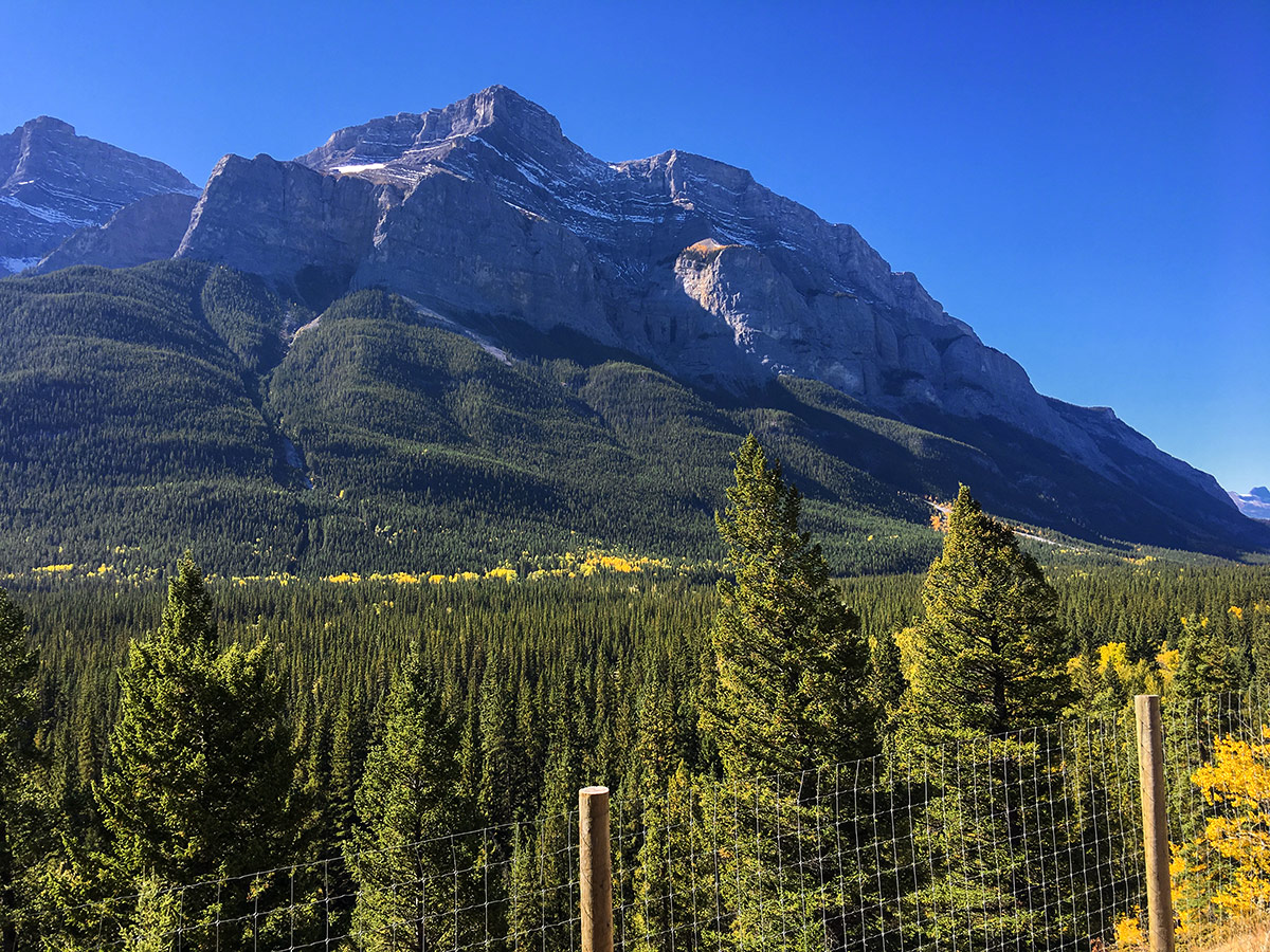 Looking up at Rundle on Legacy Trail from Canmore to Banff road biking route in the Canadian Rockies