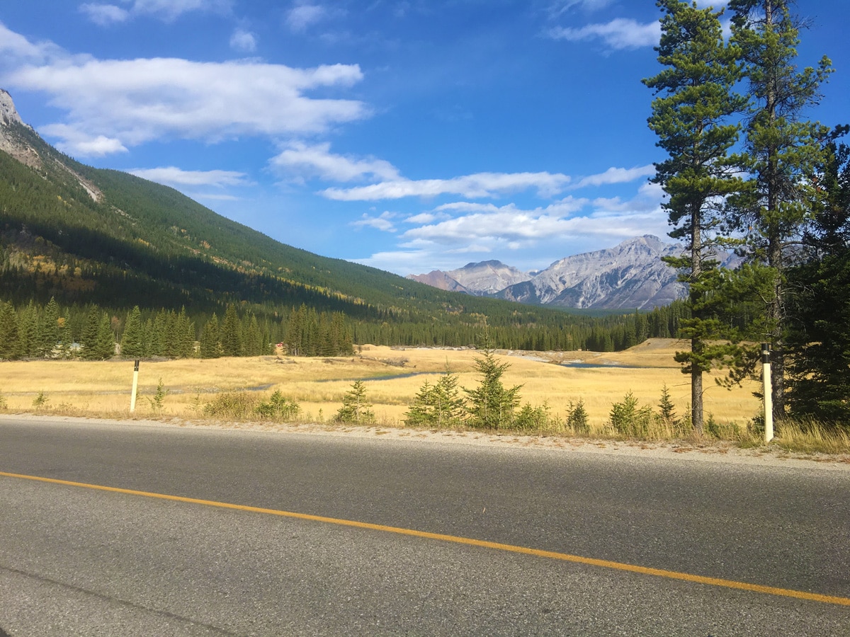 Meadows along Minnewanka Loop road biking route in Banff National Park