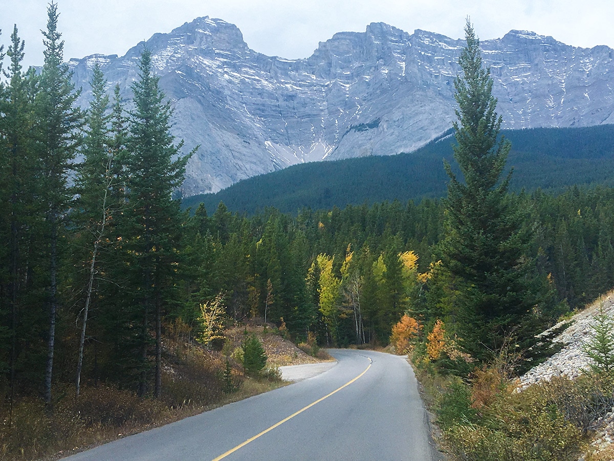 Path through the woods on Minnewanka Loop road biking route in Banff National Park