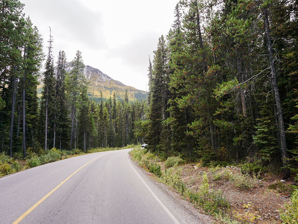 Moraine Lake Road road biking route in Banff National Park has amazing views