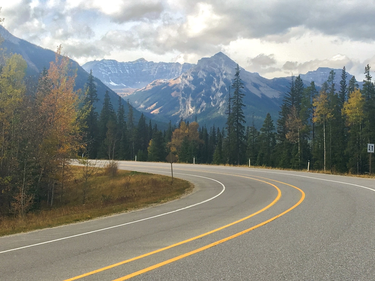 Cycling on Sunshine Road road biking route in Banff National Park