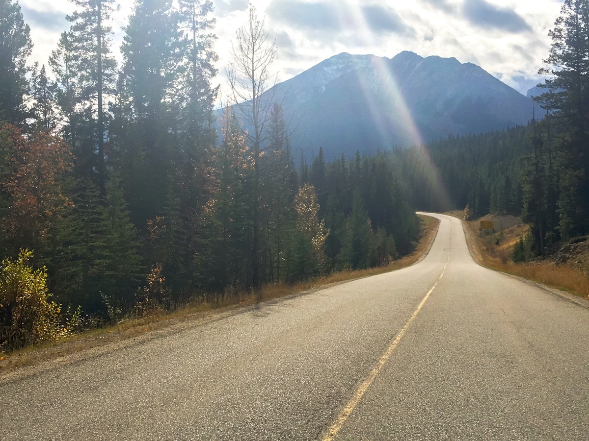 Afternoon ride on Sunshine Road road biking route in Banff National Park