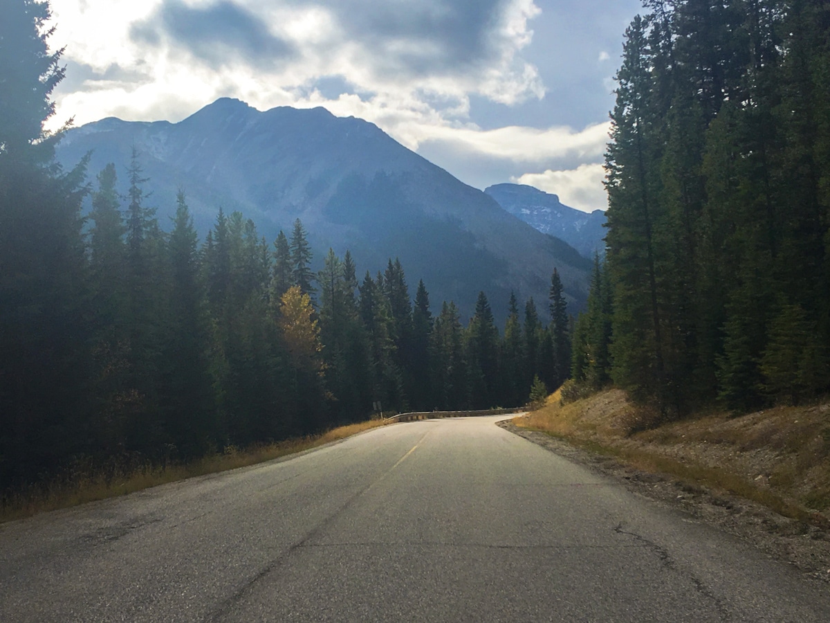 Beautiful views on Sunshine Road road biking route in Banff National Park