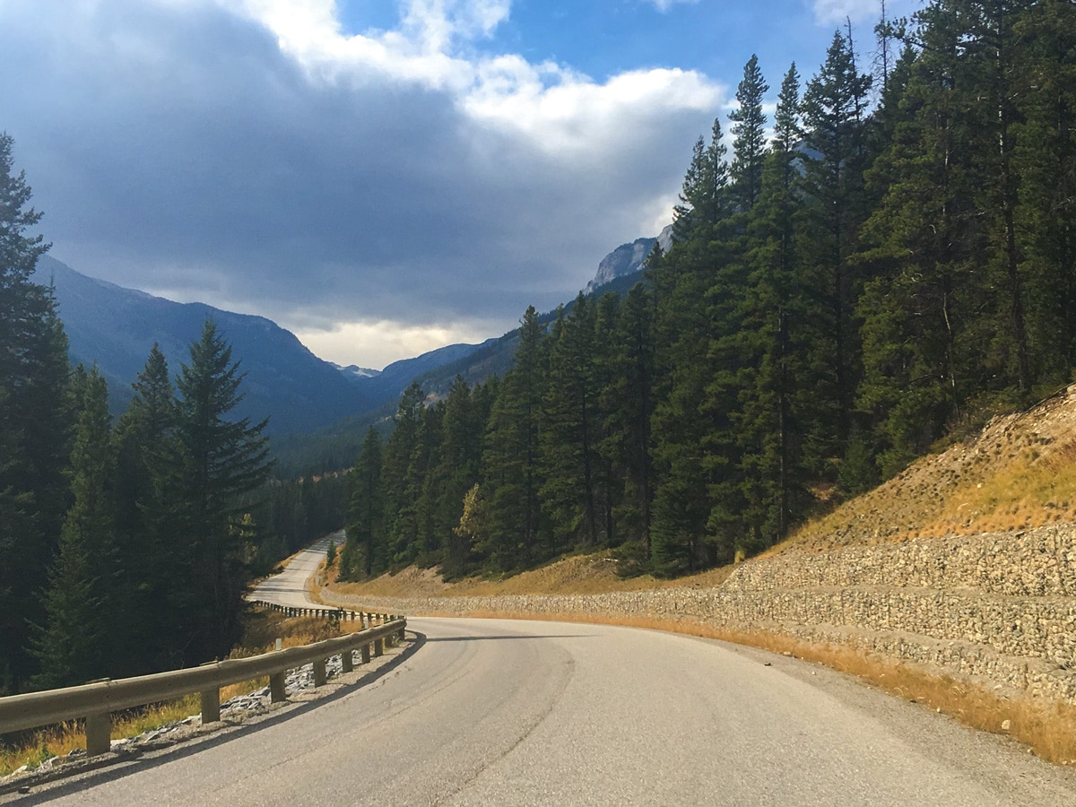 Beautiful curvy downhill ride on Sunshine Road road biking route in Banff National Park