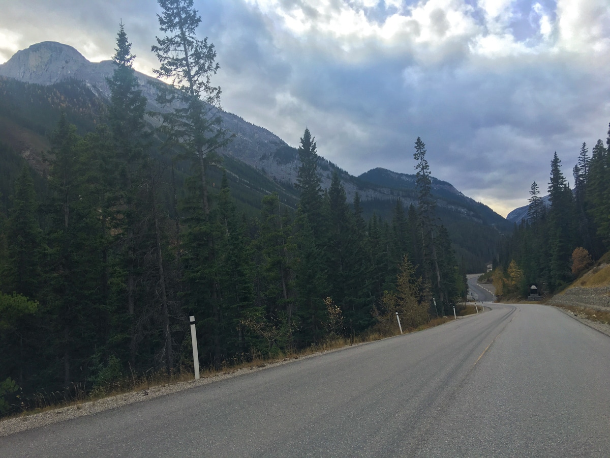 Sunshine Road road biking route in Banff National Park has beautiful views