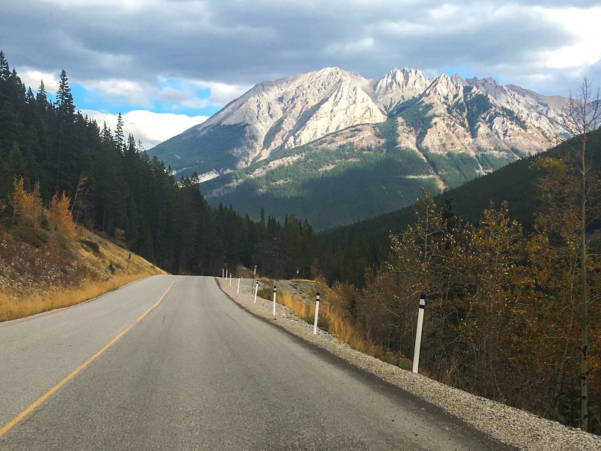 Great views on Sunshine Road road biking route in Banff National Park