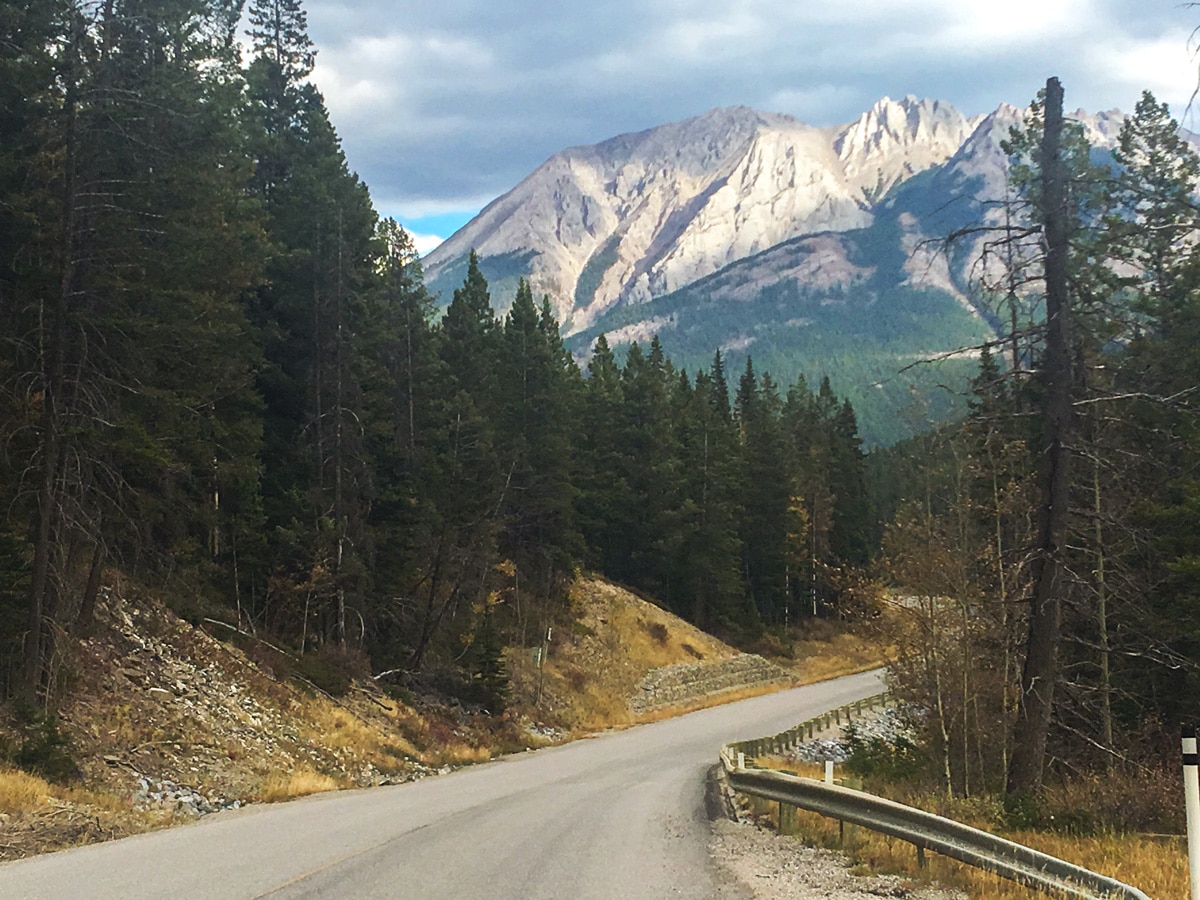 Fun section of Sunshine Road road biking route in Banff National Park