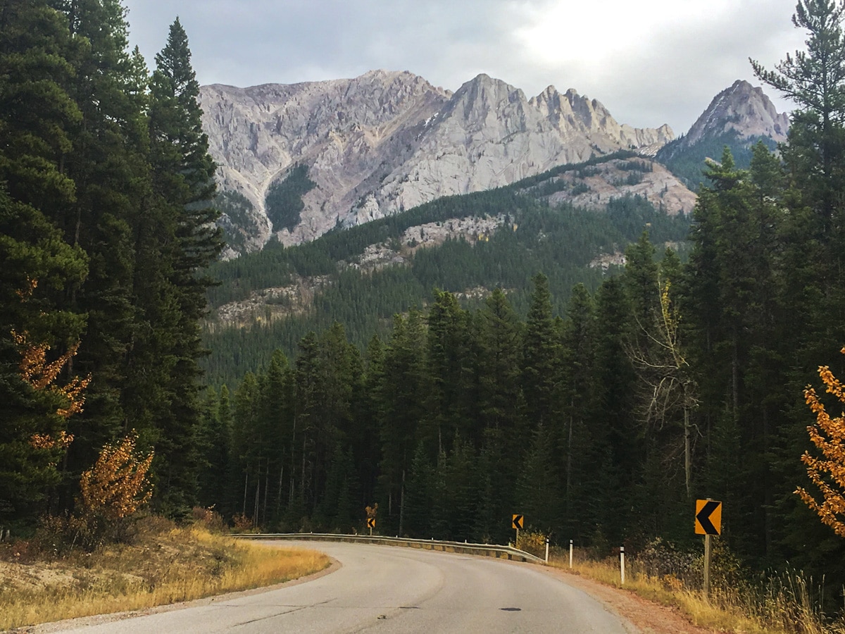 Great scenery on Sunshine Road road biking route in Banff National Park