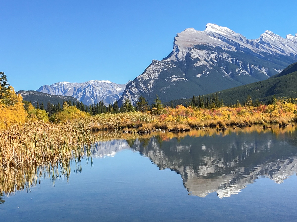 Riding through Vermilion Ponds on Sunshine Road road biking route in Banff National Park