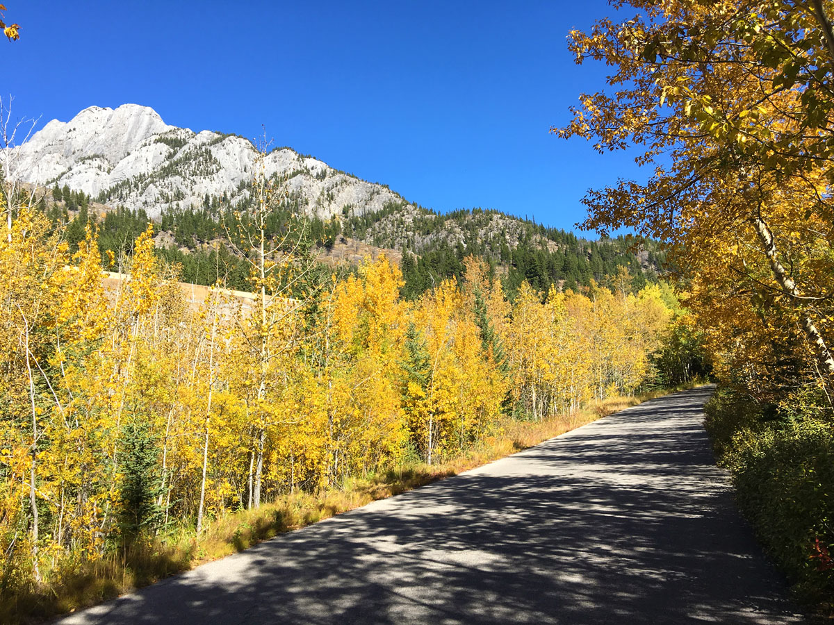 Beautiful cycling ride on Vermilion Lakes road biking route in Banff National Park