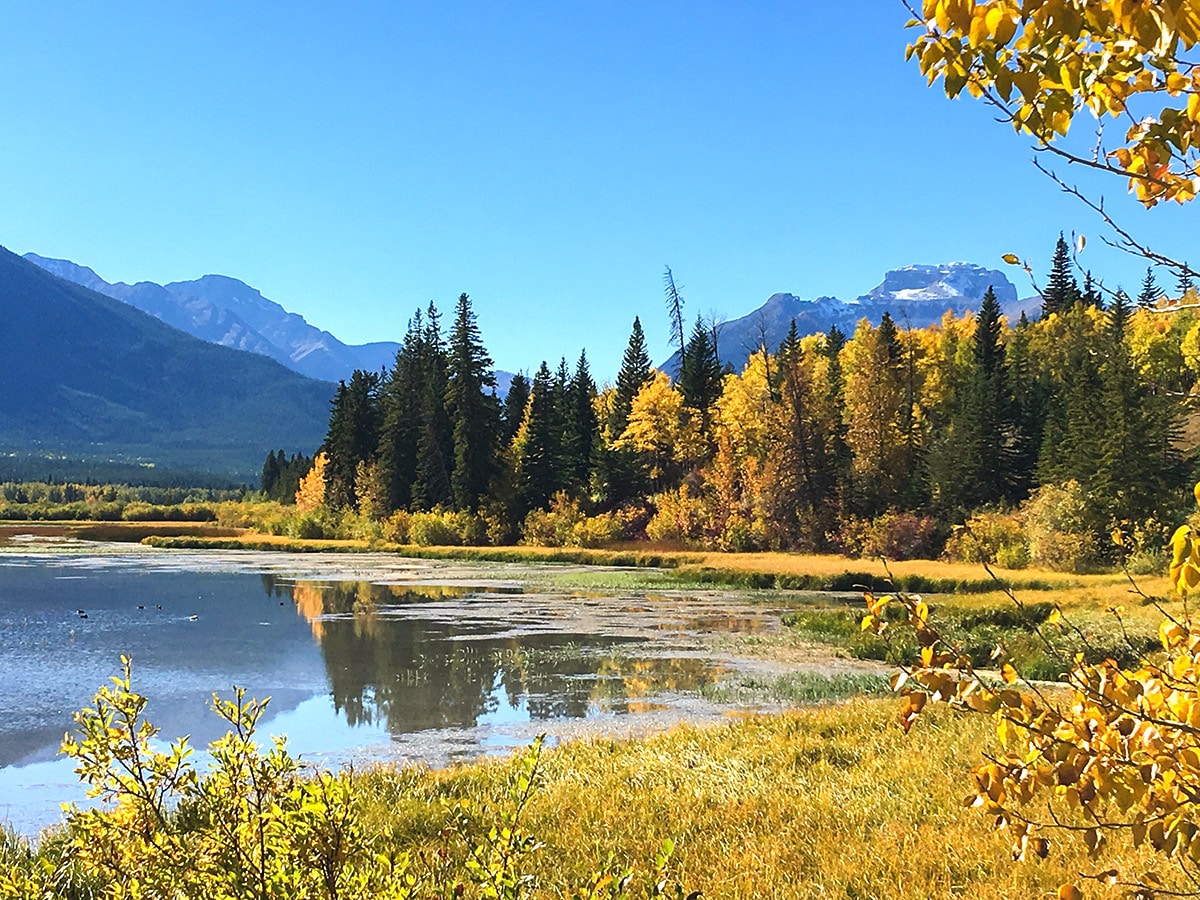 Vermilion Lakes road biking route in Banff National Park surrounded by beautiful mountains