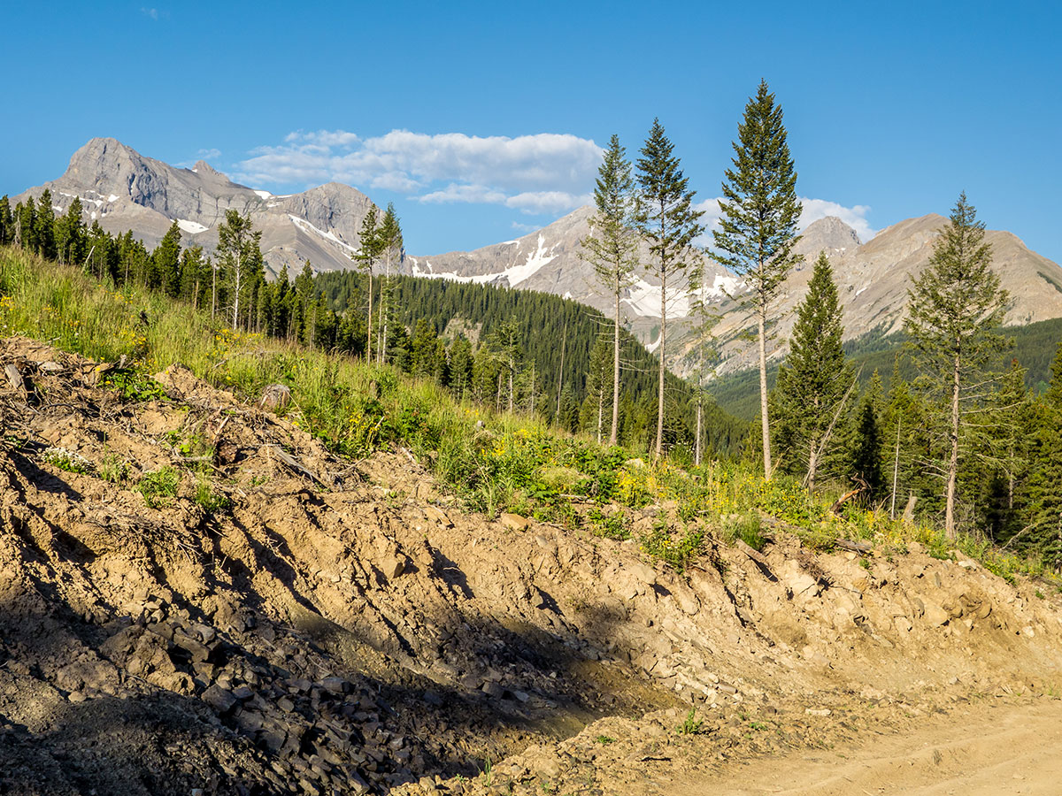 Views from the beginning of Mount Coulthard scramble in Castle Provincial Park, Alberta