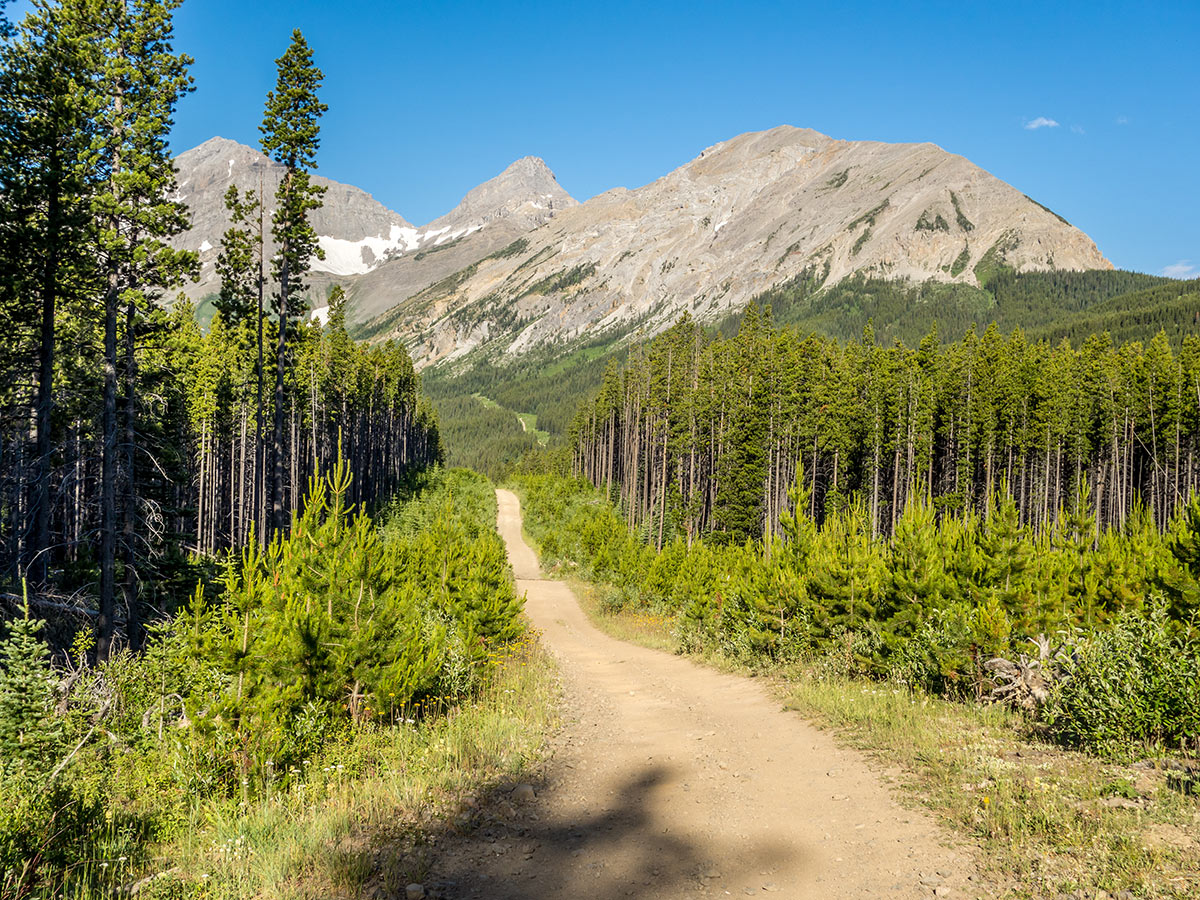 Hiking of Mount Coulthard scramble in Castle Provincial Park, Alberta