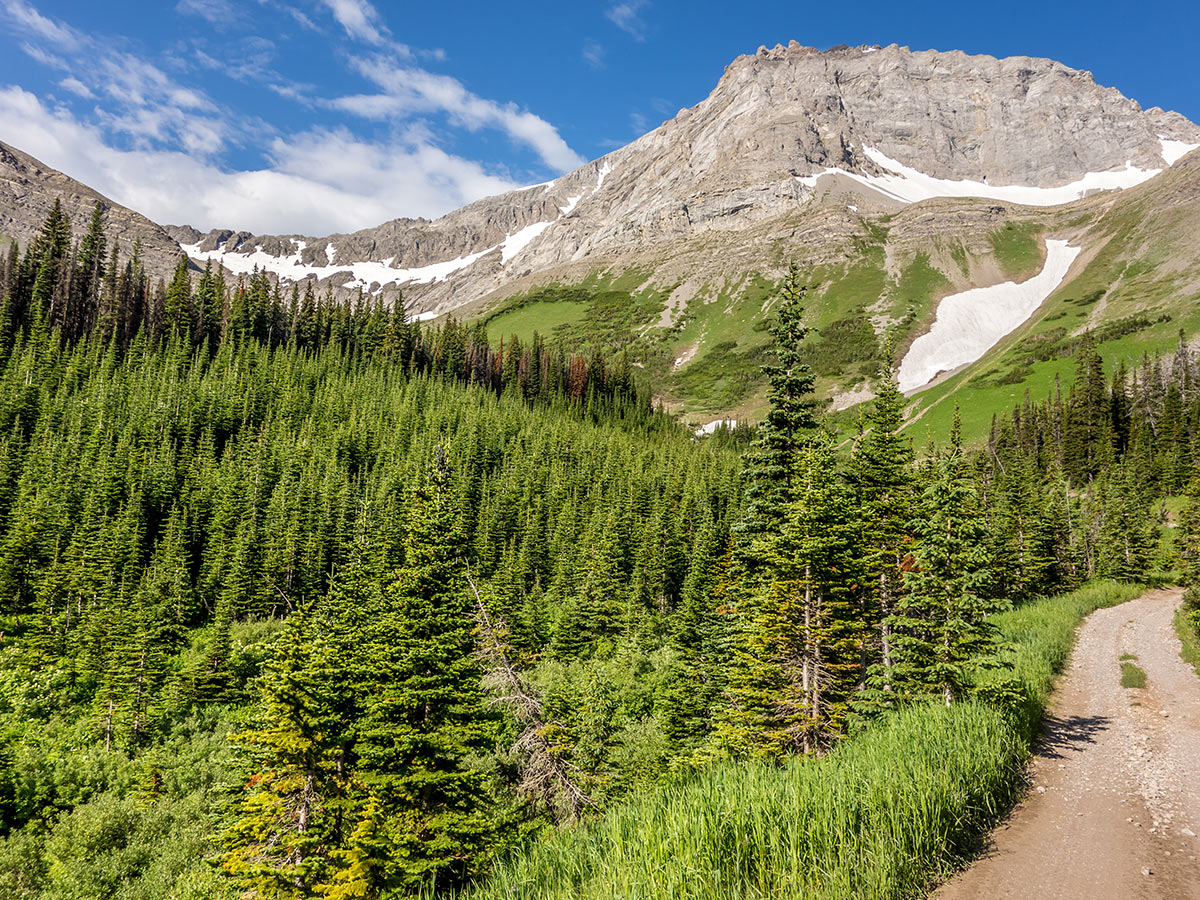 Stunning views on Mount Coulthard scramble in Castle Provincial Park, Alberta