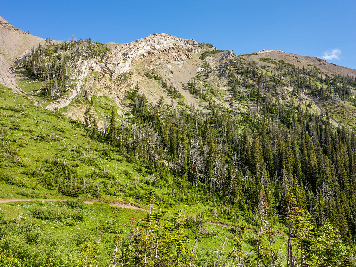 Trail upon Mount Coulthard scramble in Castle Provincial Park, Alberta