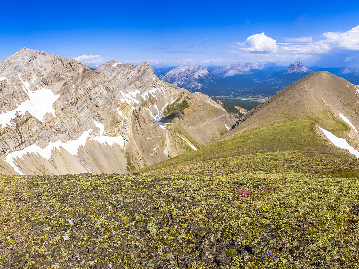 Stunning summit views on Mount Coulthard scramble in Castle Provincial Park, Alberta