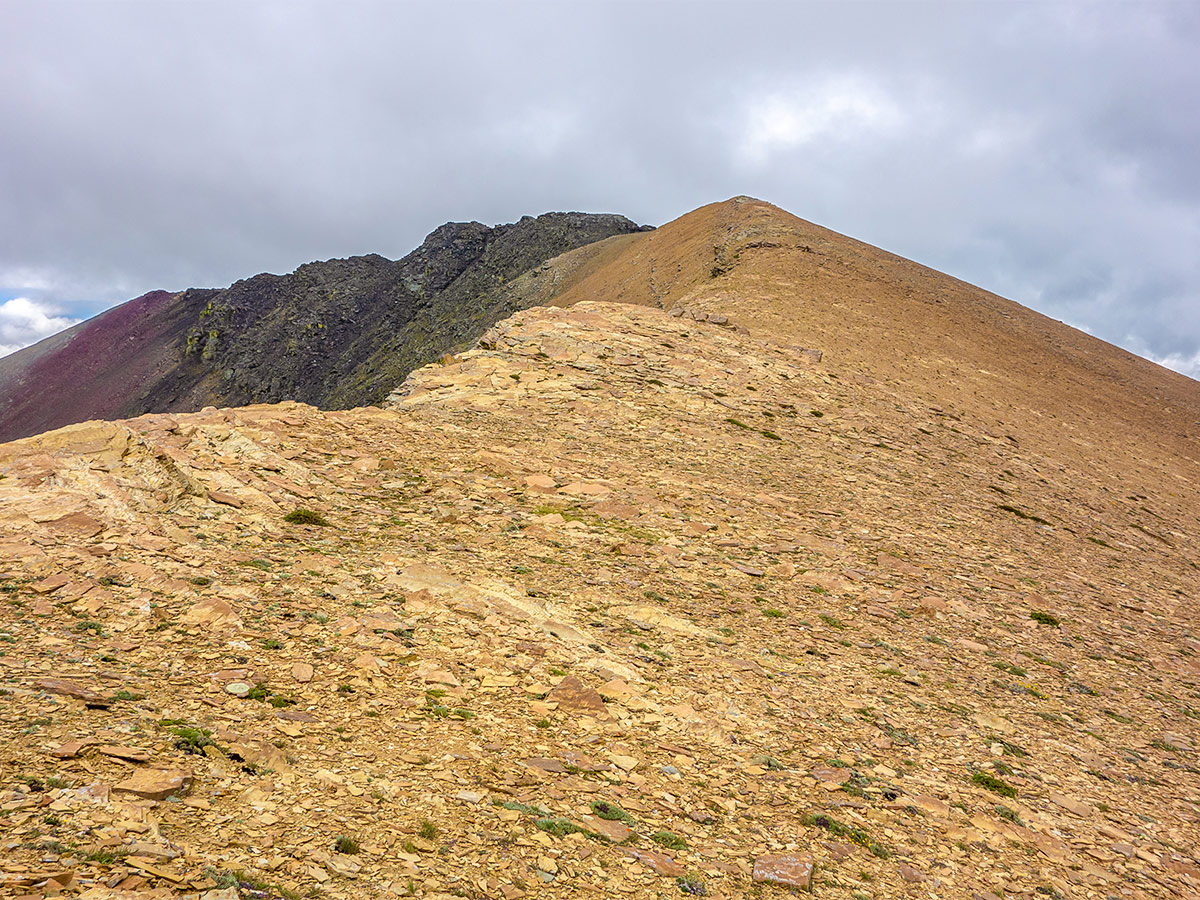 The summit of Drywood Mountain Traverse scramble in Castle Provincial Park, Alberta