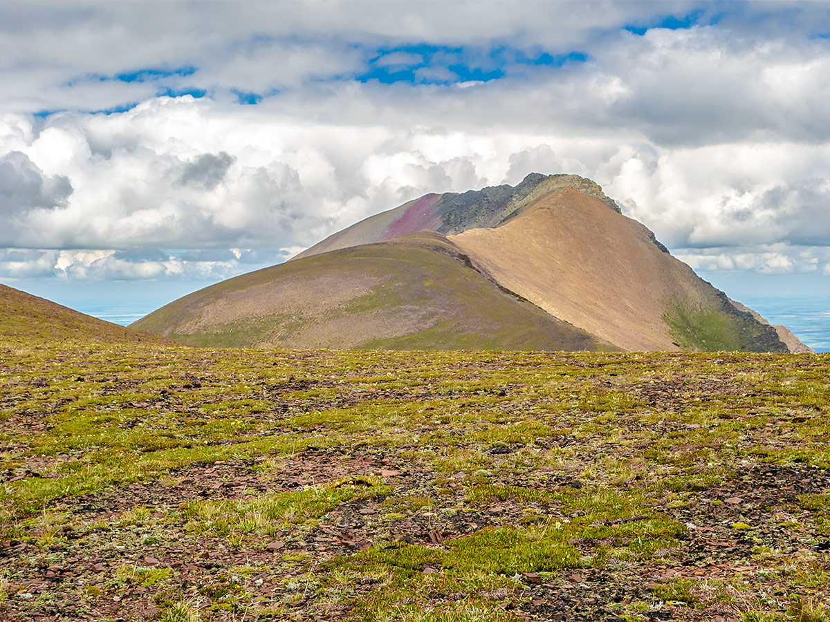 Great scenery on Drywood Mountain Traverse scramble in Castle Provincial Park, Alberta