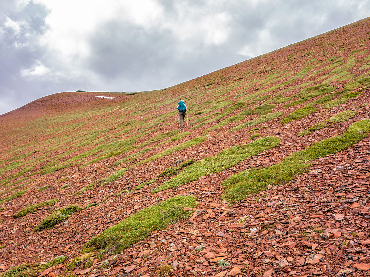 Hiking upon Drywood Mountain Traverse scramble in Castle Provincial Park, Alberta