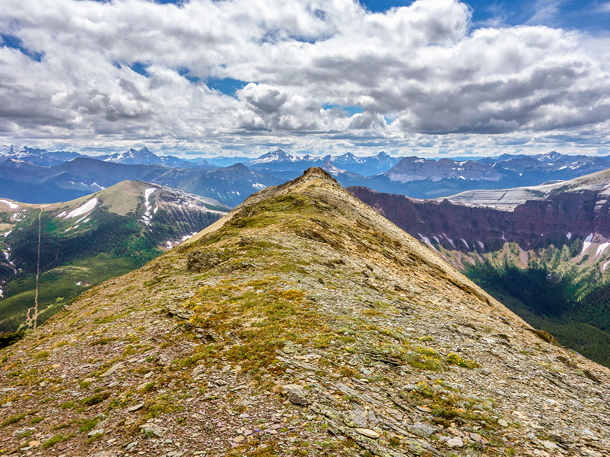 Following the ridge west on Drywood Mountain Traverse scramble in Castle Provincial Park, Alberta