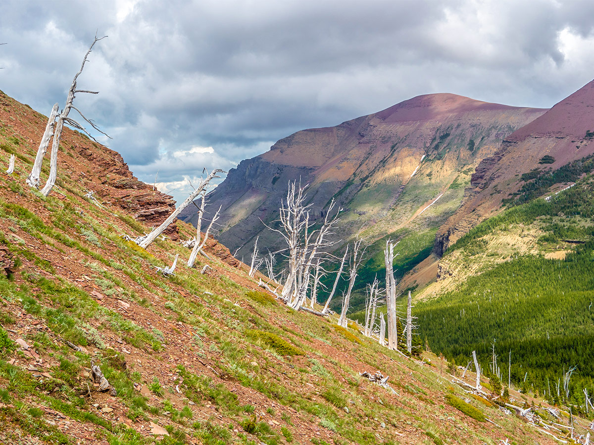 Lovely views from Drywood Mountain Traverse scramble in Castle Provincial Park, Alberta