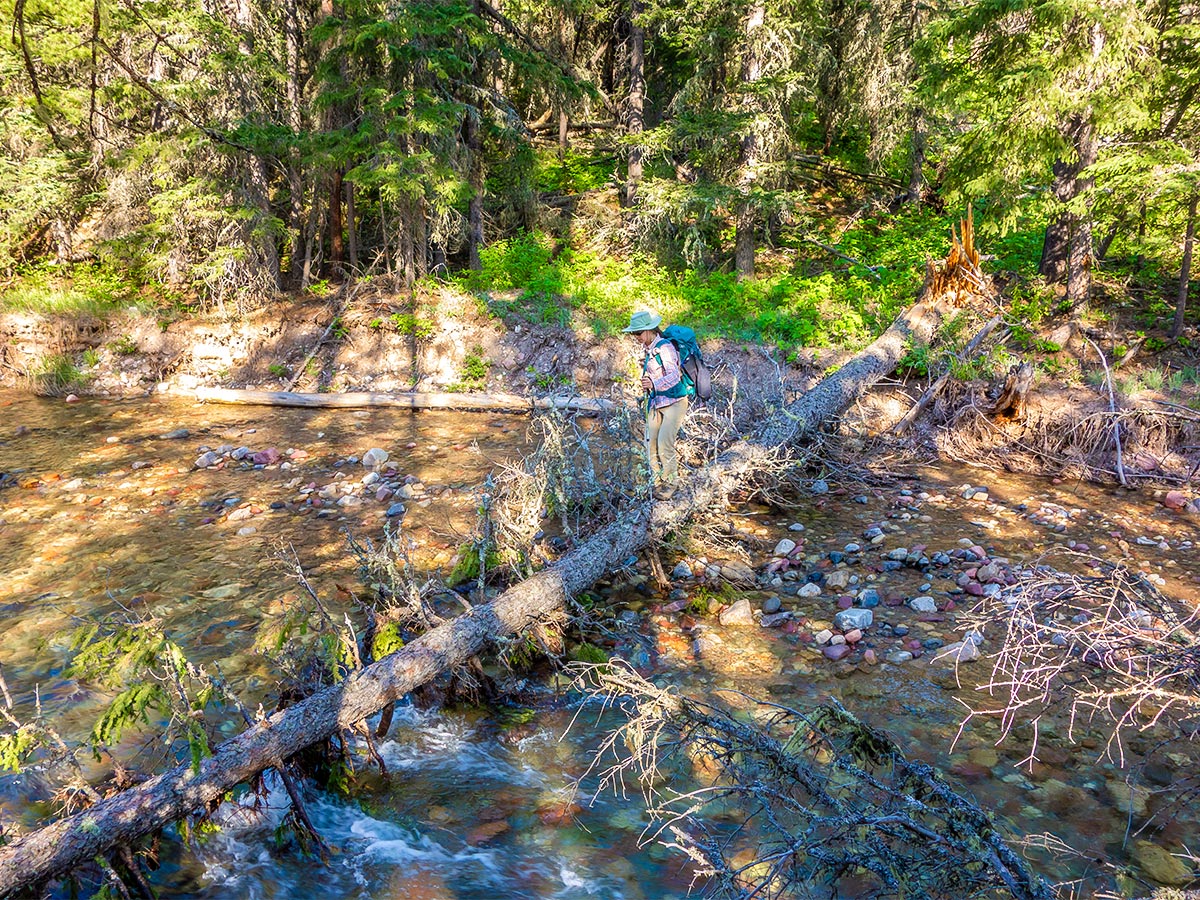 Crossing the Mill Creek on Mount Gladstone scramble in Castle Provincial Park, Alberta