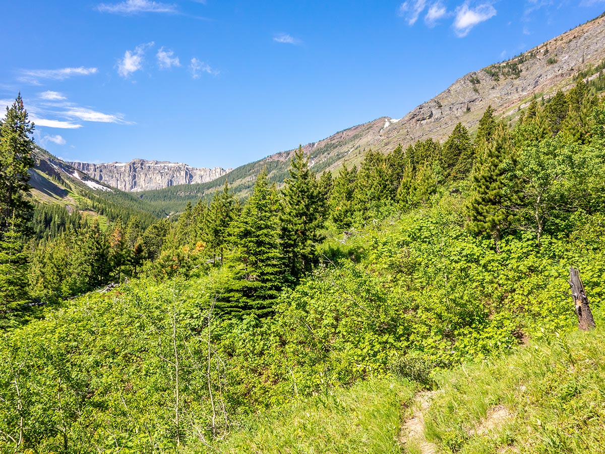 Trail of Mount Gladstone scramble in Castle Provincial Park, Alberta