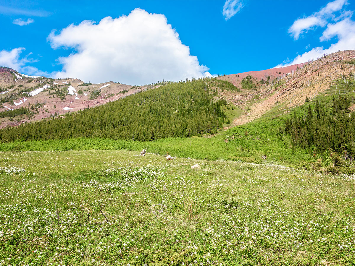 Southern slopes of Mount Gladstone scramble in Castle Provincial Park, Alberta