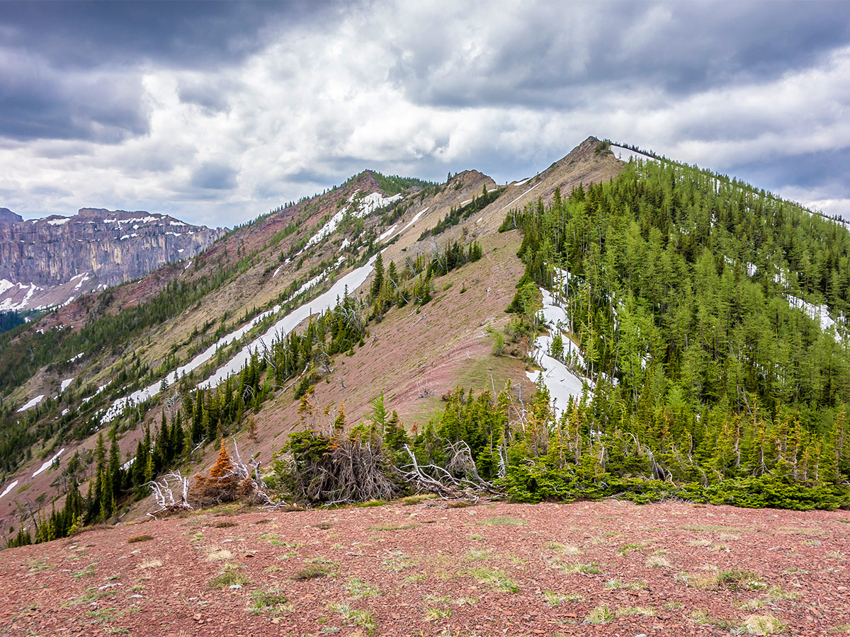 View along the ridge on Mount Gladstone scramble in Castle Provincial Park, Alberta