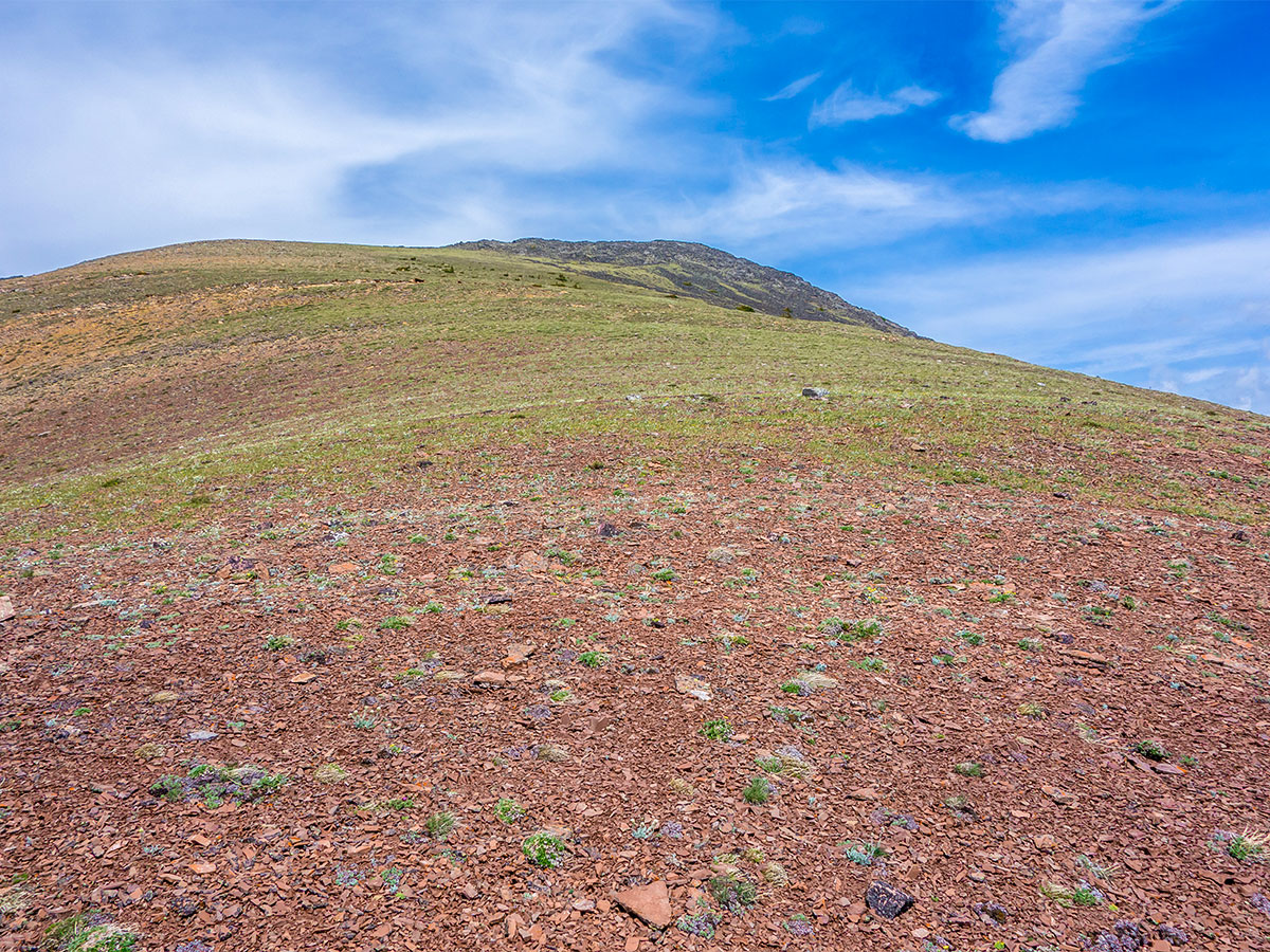 Colourful final ascent on Mount Gladstone scramble in Castle Provincial Park, Alberta