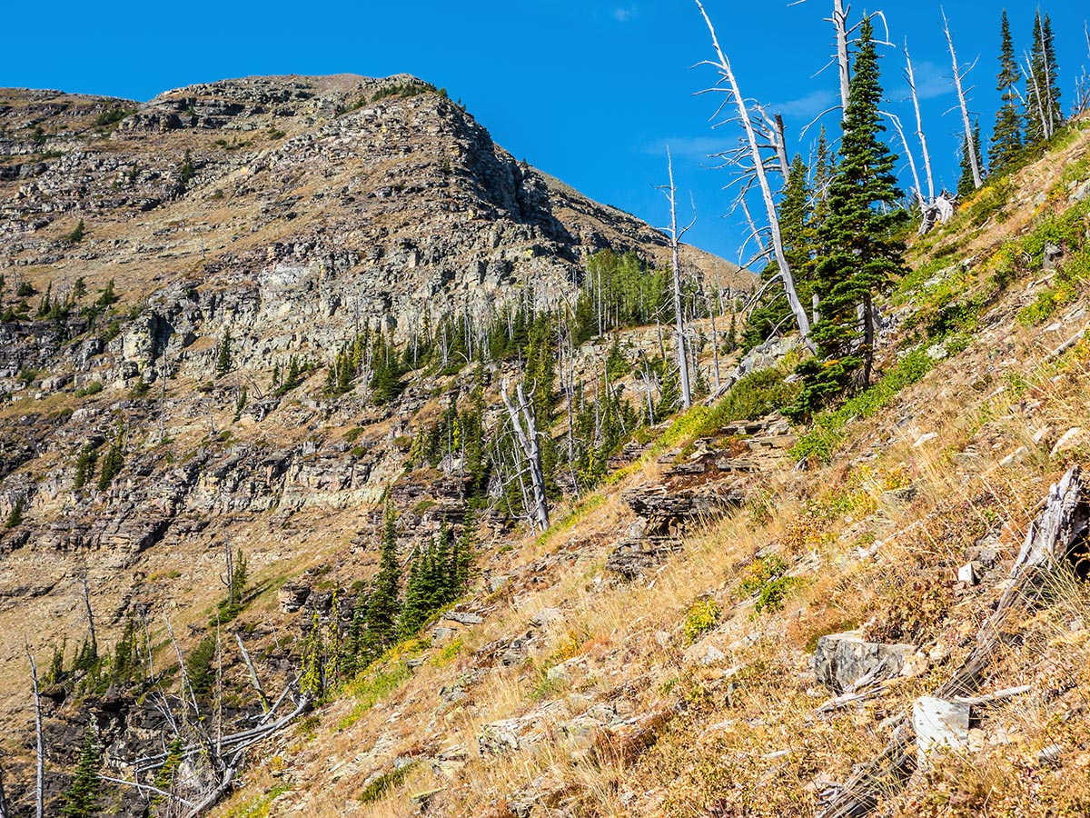 Haig Gravenstafel Pass on Mountain Haig scramble in Castle Provincial Park, Alberta