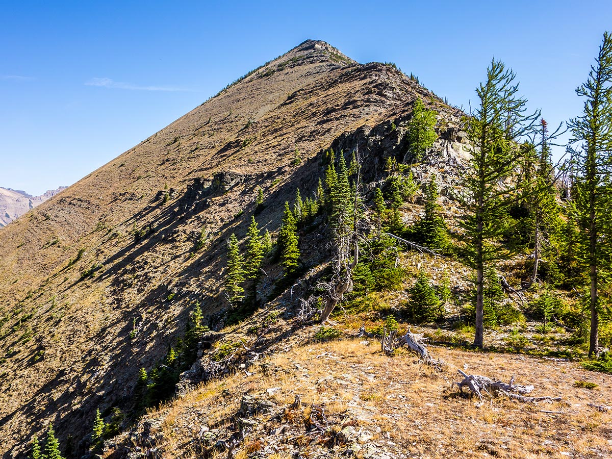 Route up Gravenstafel Ridge on Mountain Haig scramble in Castle Provincial Park, Alberta