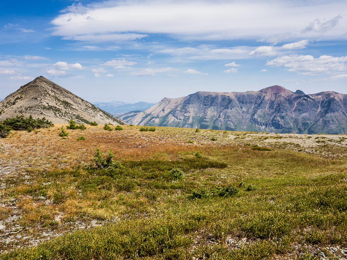 View of the plateau on Mountain Haig scramble in Castle Provincial Park, Alberta