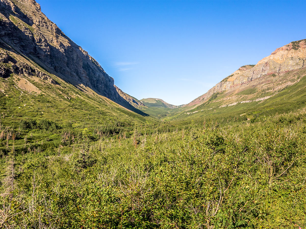 View up the South Drywood Creek valley on Loaf Mountain and Spionkop scramble in Castle Provincial Park, Alberta