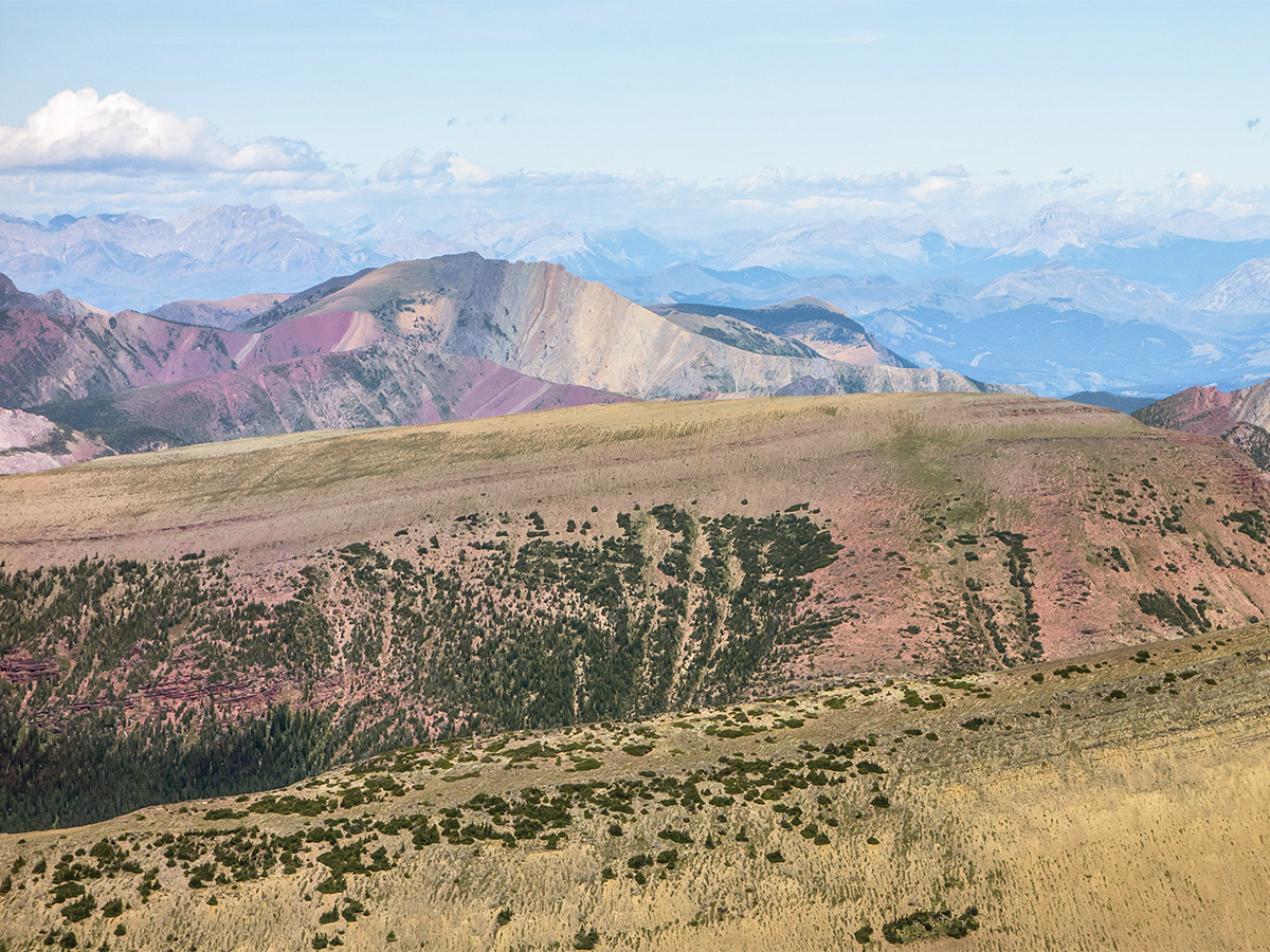 Great colours on Loaf Mountain and Spionkop scramble in Castle Provincial Park, Alberta