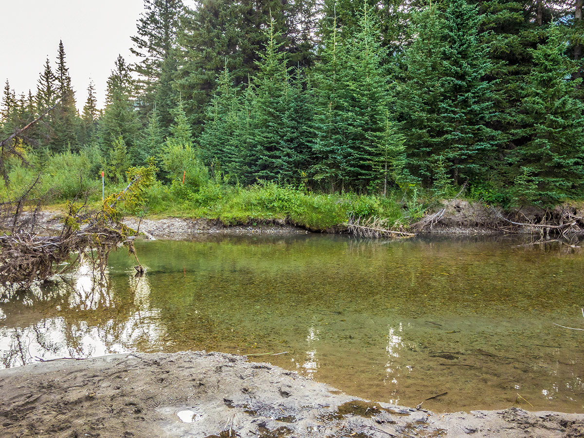 Crossing the Castle River on Southfork Mountain and Barnaby Ridge scramble in Castle Provincial Park, Alberta