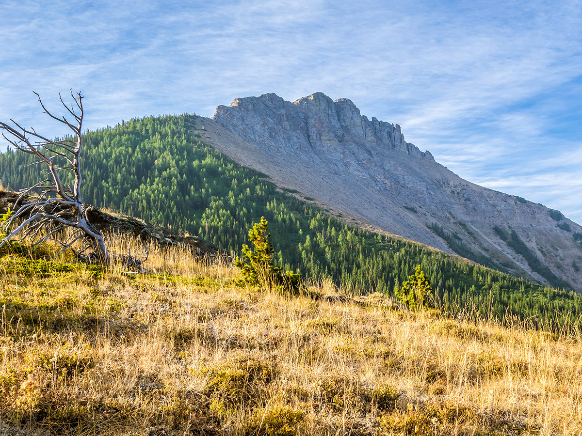 View of the northern ridge on Southfork Mountain and Barnaby Ridge scramble in Castle Provincial Park, Alberta