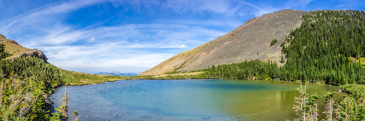 Hiking trail on Southfork Mountain and Barnaby Ridge scramble in Castle Provincial Park, Alberta